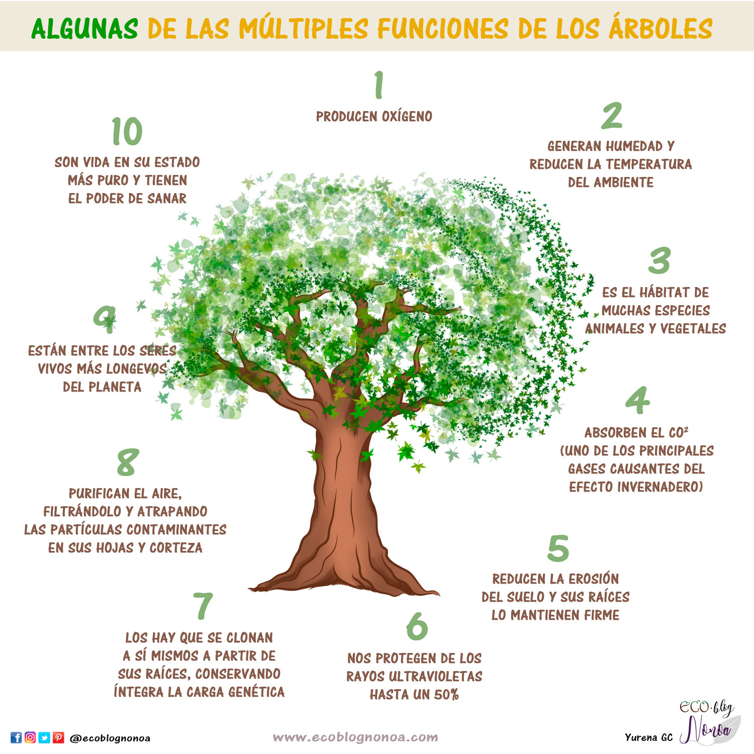 3 increíbles proyectos de reforestación | tips para ahorrar papel |  deforestación